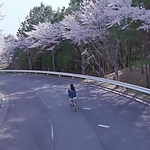OLS_2015_28195529.jpg