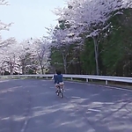 OLS_2015_28195829.jpg