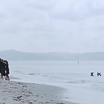 OLS_2015_28366129.jpg