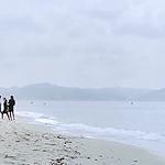 OLS_2015_28369629.jpg