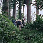 OLS_2015_283729.jpg