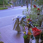 Kyrie_2023_28149429.JPG