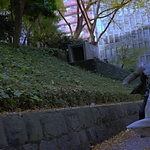 Kyrie_2023_28150929.JPG
