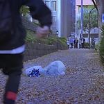 Kyrie_2023_28152029.JPG