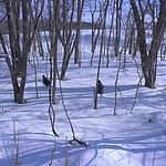 Kyrie_2023_28155729.JPG
