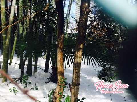 ameblo_2818529.jpg