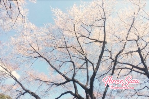 ameblo_2826129.jpg