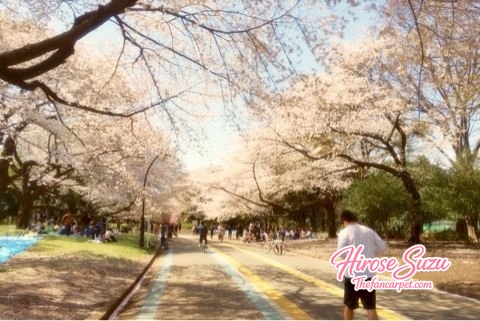 ameblo_2826329.jpg