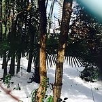 ameblo_2818529.jpg