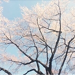 ameblo_2826129.jpg
