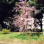 ameblo_2826229.jpg