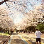 ameblo_2826329.jpg