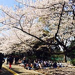 ameblo_2826429.jpg