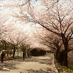 ameblo_2826629.jpg