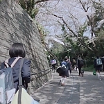 OLS_2015_28160429.jpg