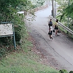 OLS_2015_281829.jpg