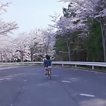 OLS_2015_28195929.jpg