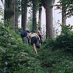 OLS_2015_283629.jpg