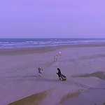Kyrie_2023_28133829.JPG
