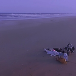 Kyrie_2023_28140229.JPG