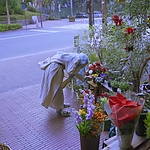 Kyrie_2023_28149529.JPG