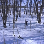 Kyrie_2023_28155629.JPG