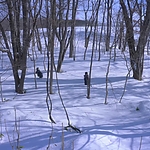 Kyrie_2023_28155829.JPG
