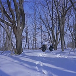 Kyrie_2023_28156229.JPG