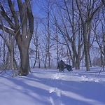 Kyrie_2023_28156329.JPG