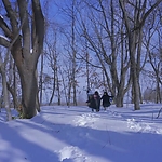 Kyrie_2023_28156529.JPG