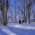 Kyrie_2023_28156629.JPG