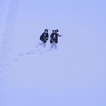 Kyrie_2023_28160929.JPG
